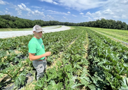 Sustainability and Conservation Initiatives by Organizations in Central Pennsylvania